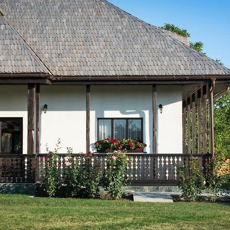 Pensiunea Tara Fagilor Suceava Exterior photo